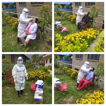 Swab Collection for PCR test